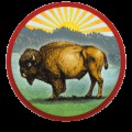 www.bison-vom-sonnenhof.de